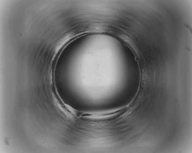 X0000102311083200807251434