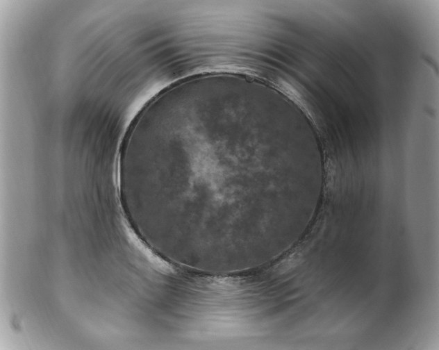 X0000102311084200807251434