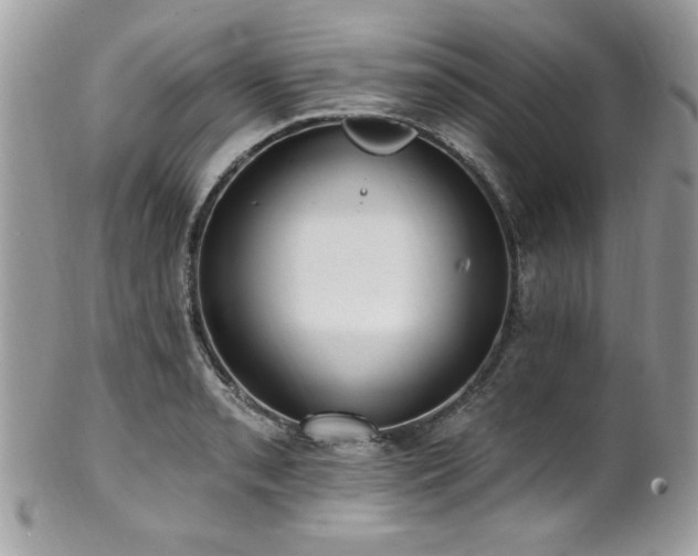 X0000102311085200807251434