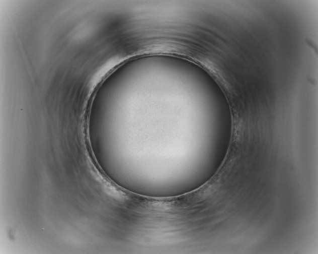 X0000102311086200807251434