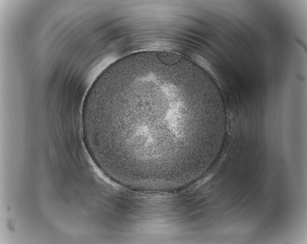 X0000102311087200807251434