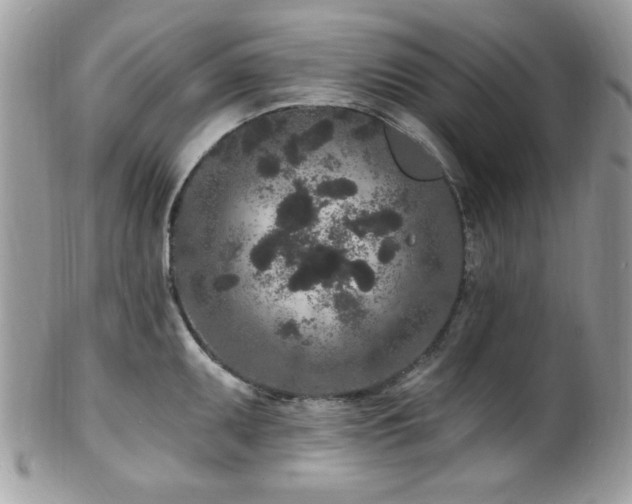 X0000102311095200807251434