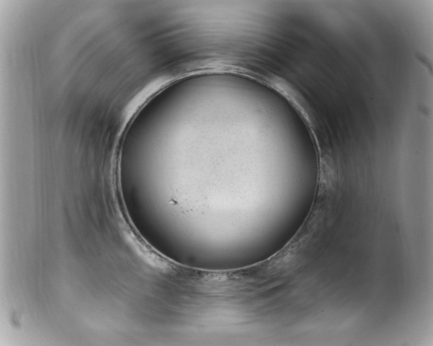 X0000102311098200807251434