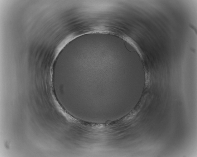 X0000102311099200807251434