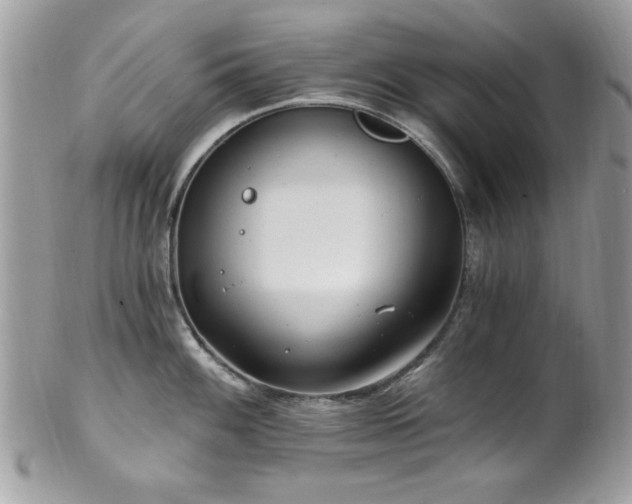 X0000102311100200807251434