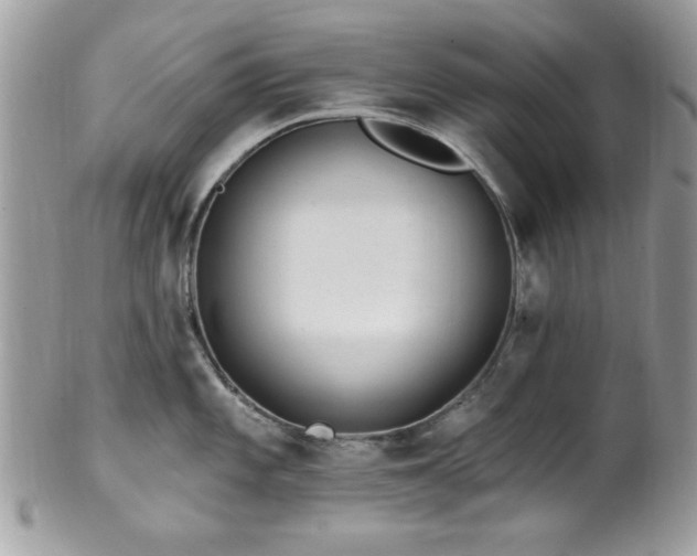 X0000102311101200807251434