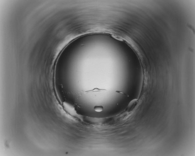 X0000102311102200807251434