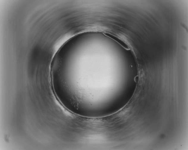 X0000102311103200807251434