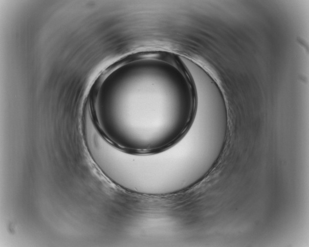 X0000102311104200807251434