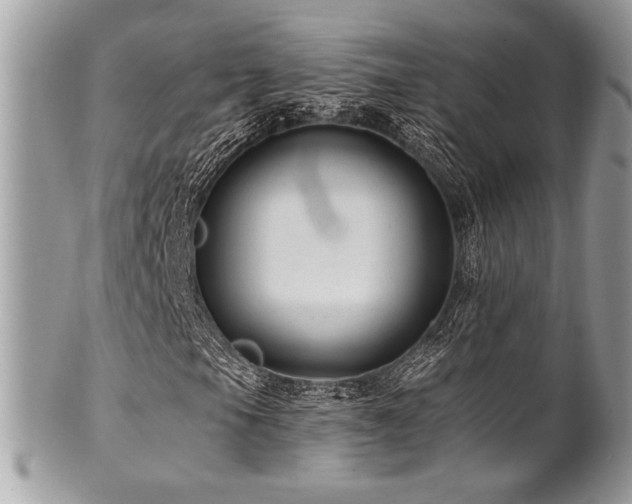 X0000102311105200807251433