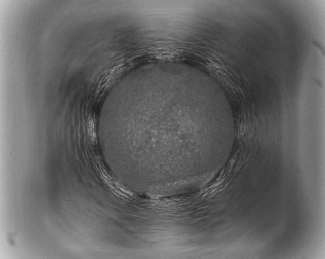 X0000102311106200807251433