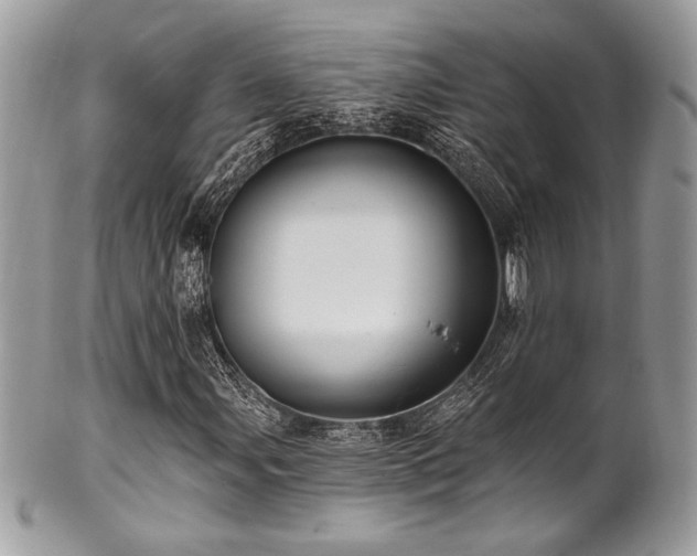 X0000102311107200807251433