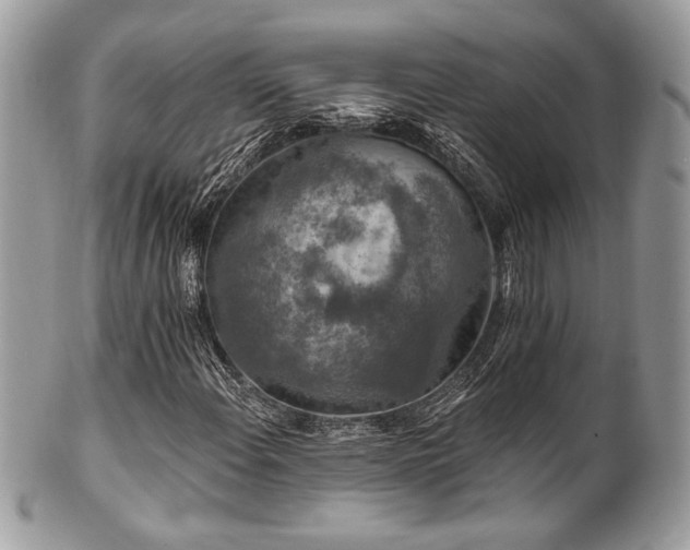 X0000102311108200807251433