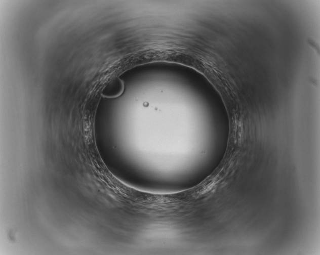 X0000102311109200807251433