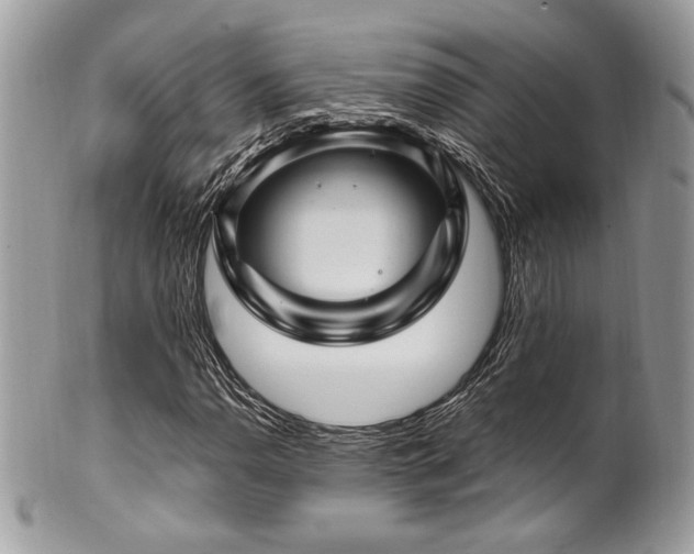 X0000102311110200807251433