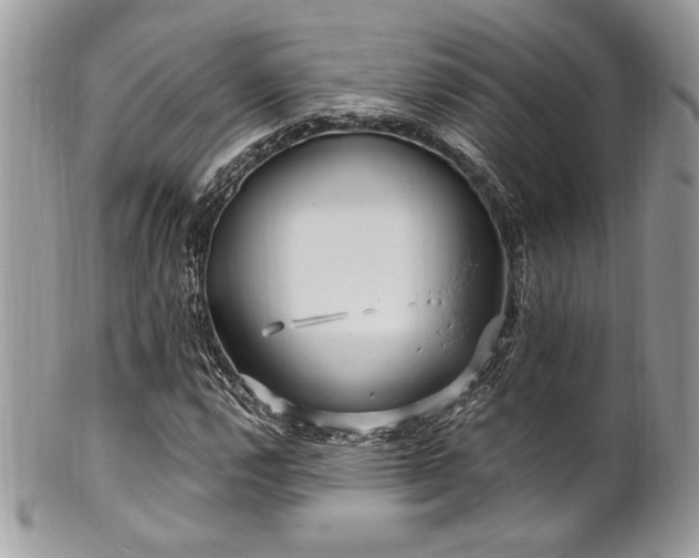X0000102311112200807251433