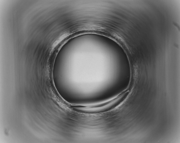 X0000102311114200807251433