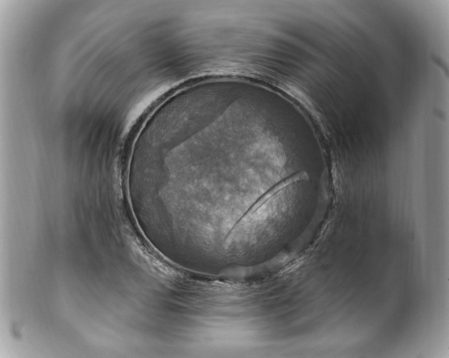 X0000102311120200807251433