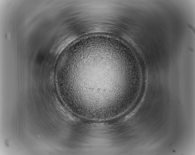 X0000102311121200807251433