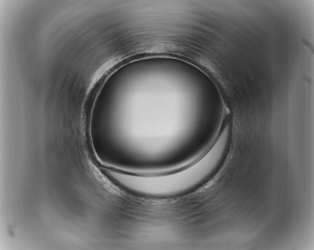 X0000102311122200807251433