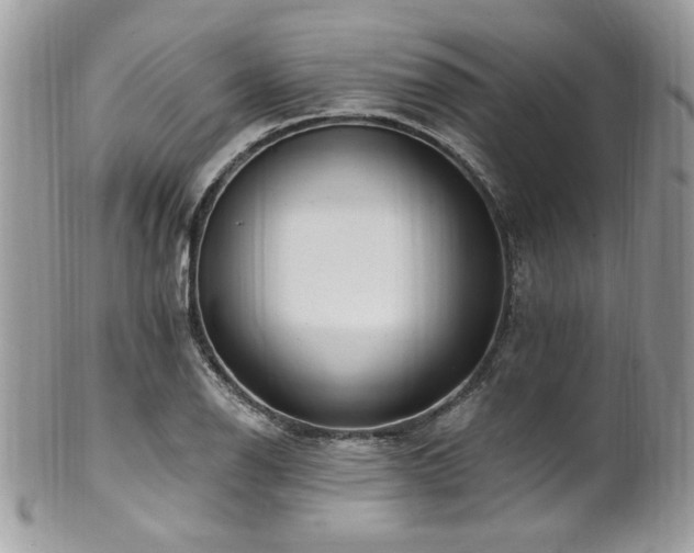 X0000102311126200807251433