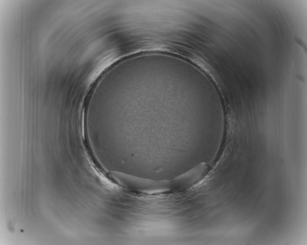 X0000102311127200807251433