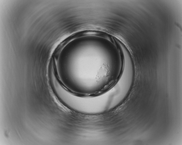 X0000102311128200807251433