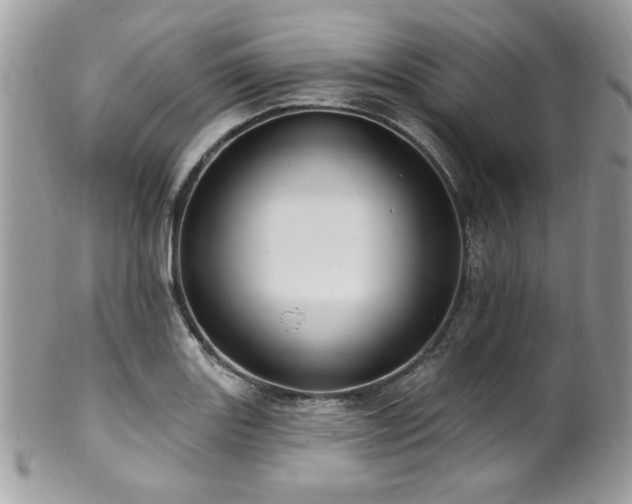 X0000102311131200807251433