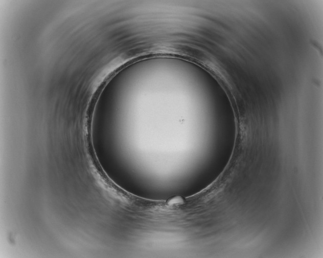 X0000102311133200807251433