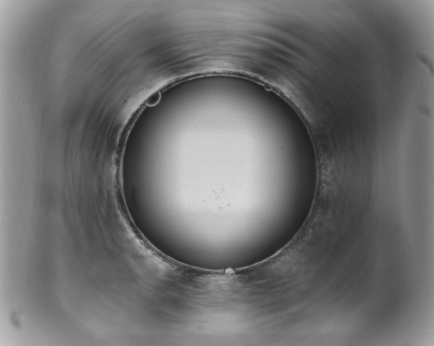 X0000102311134200807251433