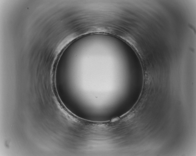 X0000102311135200807251433