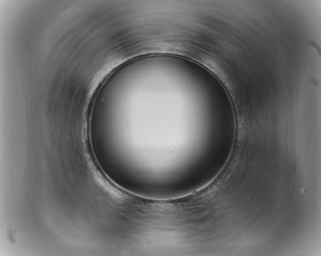 X0000102311136200807251433