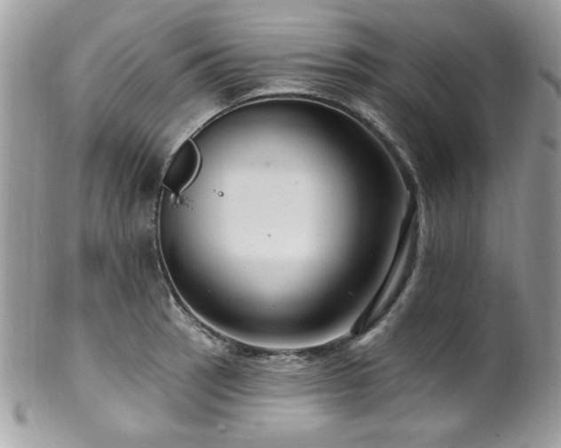 X0000102311137200807251433