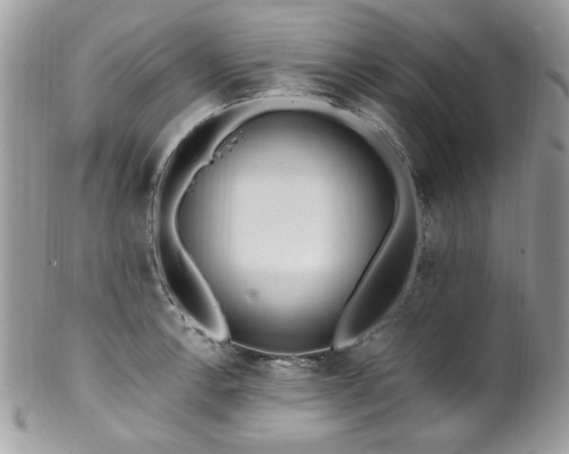 X0000102311138200807251433