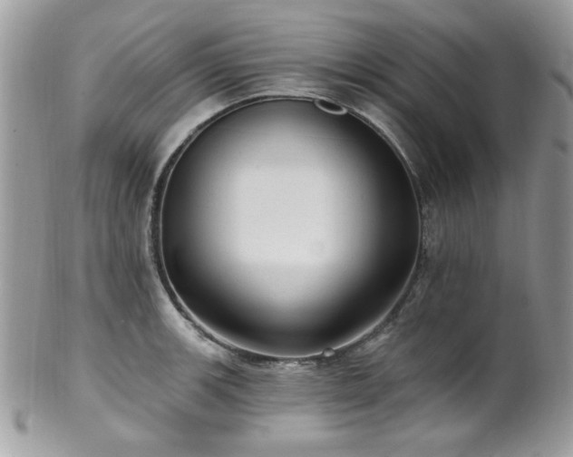 X0000102311139200807251433