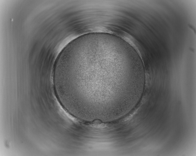 X0000102311141200807251433