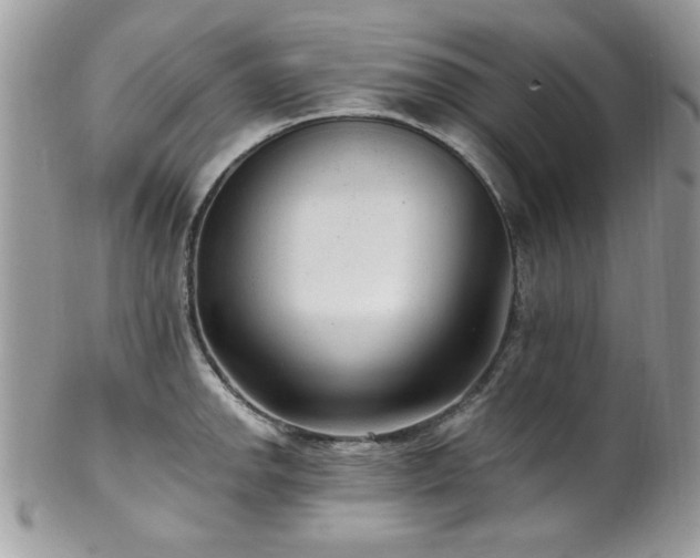 X0000102311142200807251433