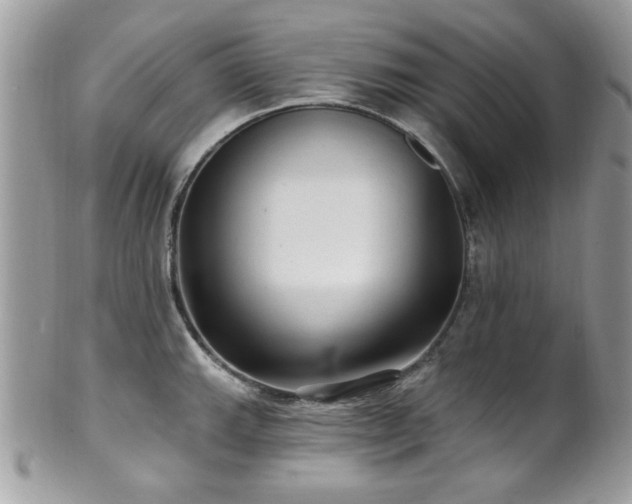X0000102311143200807251433