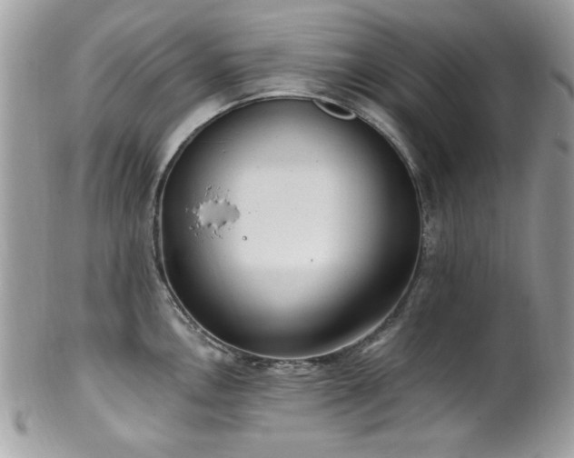 X0000102311146200807251433