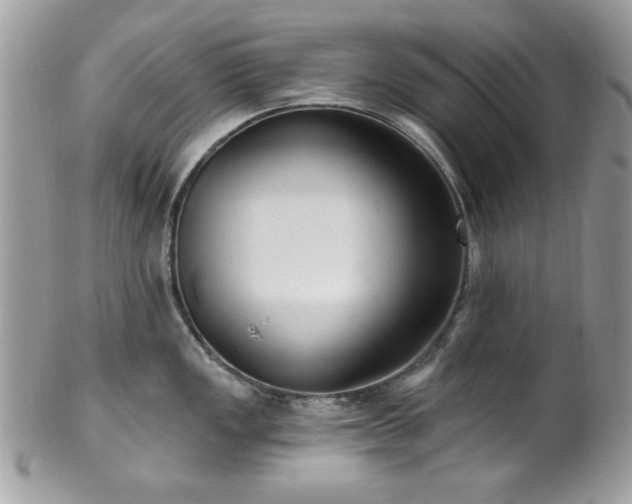 X0000102311149200807251433