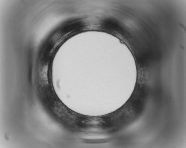 X0000102311150200807251433