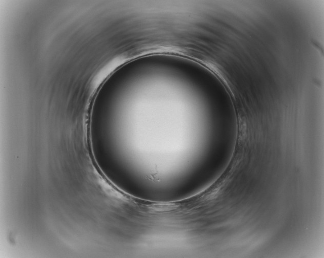 X0000102311151200807251433