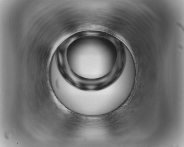 X0000102311152200807251434