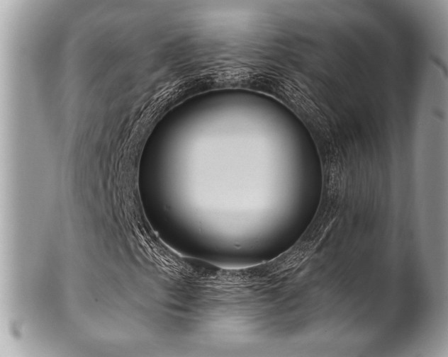X0000102311153200807251433