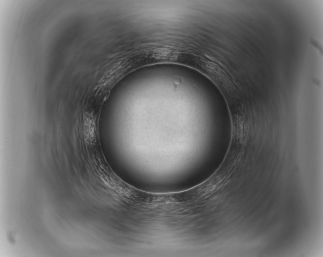 X0000102311154200807251433
