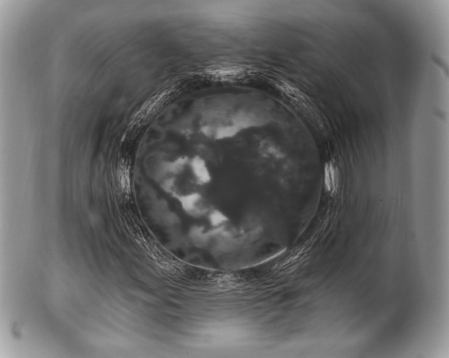 X0000102311155200807251433