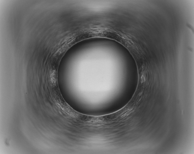 X0000102311156200807251433
