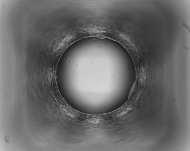 X0000102311157200807251433