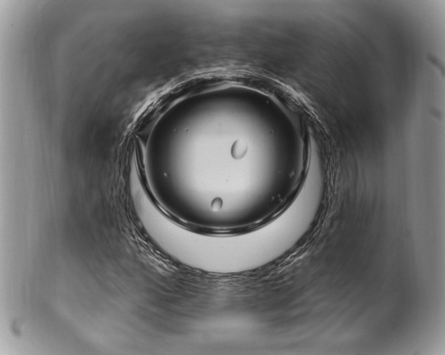 X0000102311160200807251433