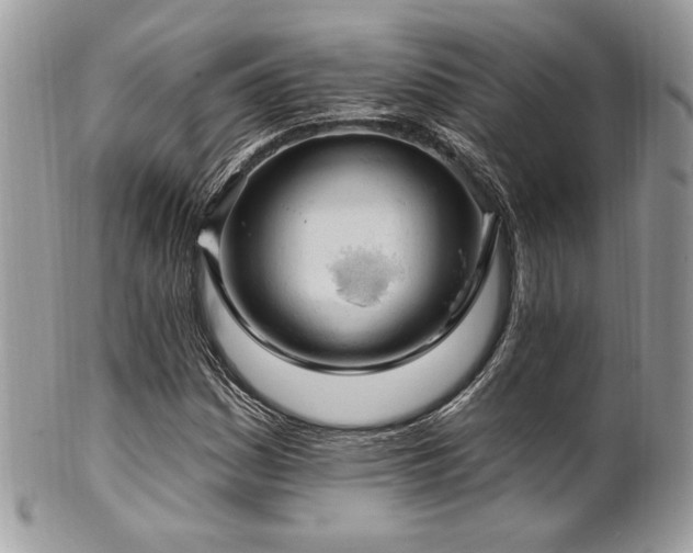X0000102311161200807251433